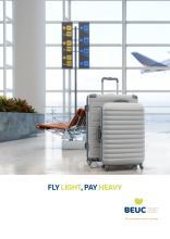 Hand luggage report